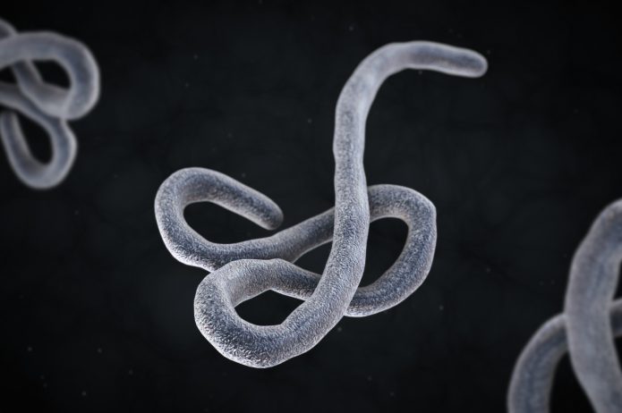 Ebola Goraczka Krwotoczna Objawy Leczenie Ryzyko Zakazenia Poradnik Apteki Gemini